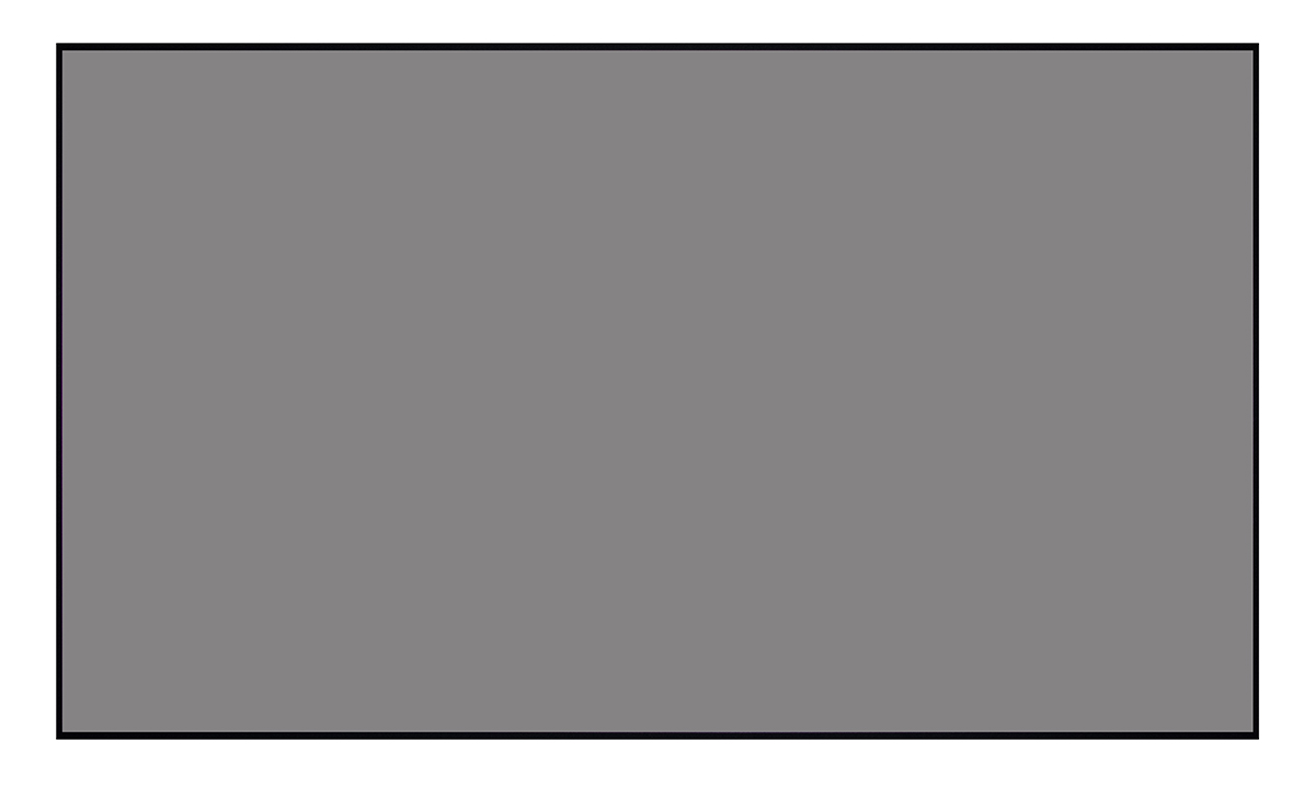 [LCTB-100209] Экран Lumien Cinema Thin Bezel