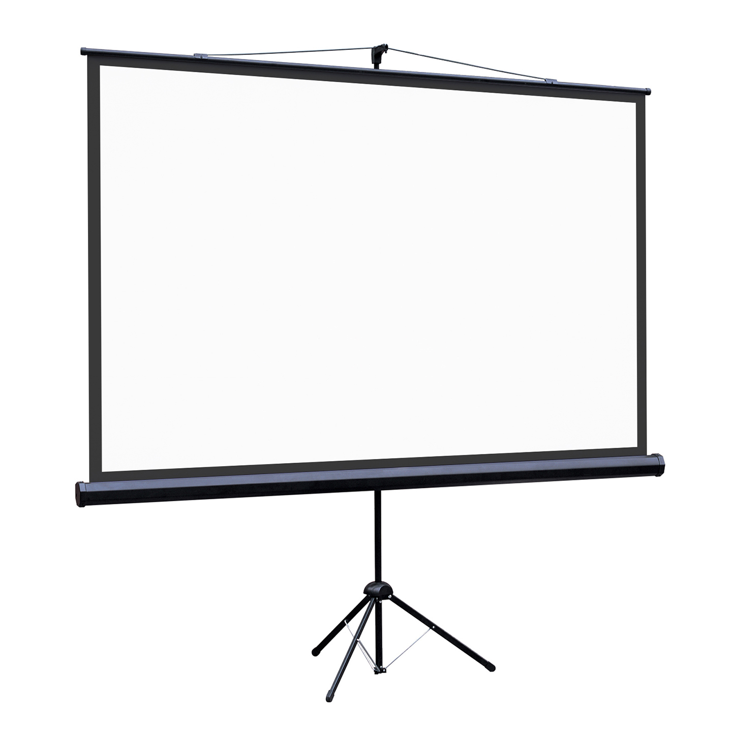 [LEV-100114] Экран на штативе Lumien [Eco View] 115x200см (раб.область109х194 см) (88") Matte White 16:9, цвет корпуса черный